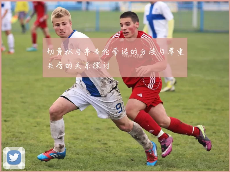 切费林与弗洛伦蒂诺的分歧与尊重共存的关系探讨