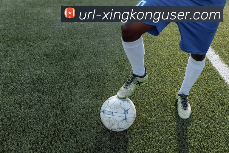 星空体育发展历程